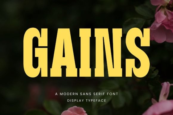 Gains Font for Modern Editorial Design