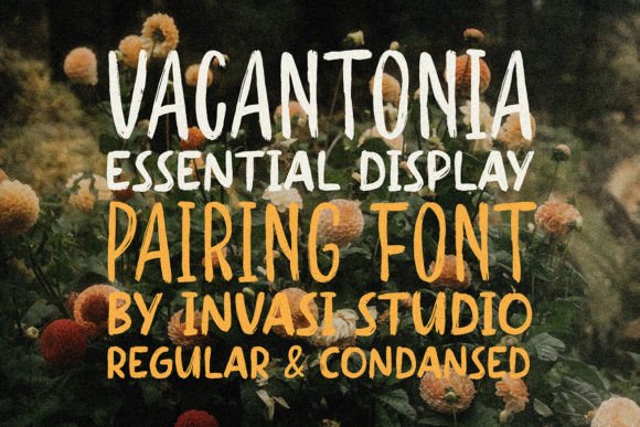 Vacantonia Font: A Bold Script for Modern Design