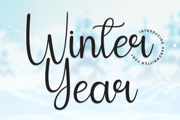 Winter Year Font for Branding and Creative Projects